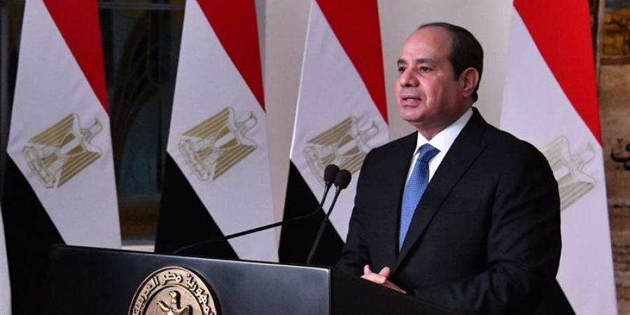 السيسي: ناقشت قضايا الشرق الأوسط والقرن الأفريقي والبحر الأحمر مع رئيسة تنزانيا - المدينة برس