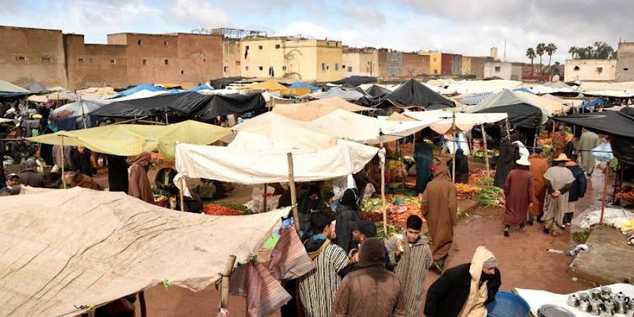 تساؤلات تلف تعثر أسواق نموذجية - بوابة المدينة برس