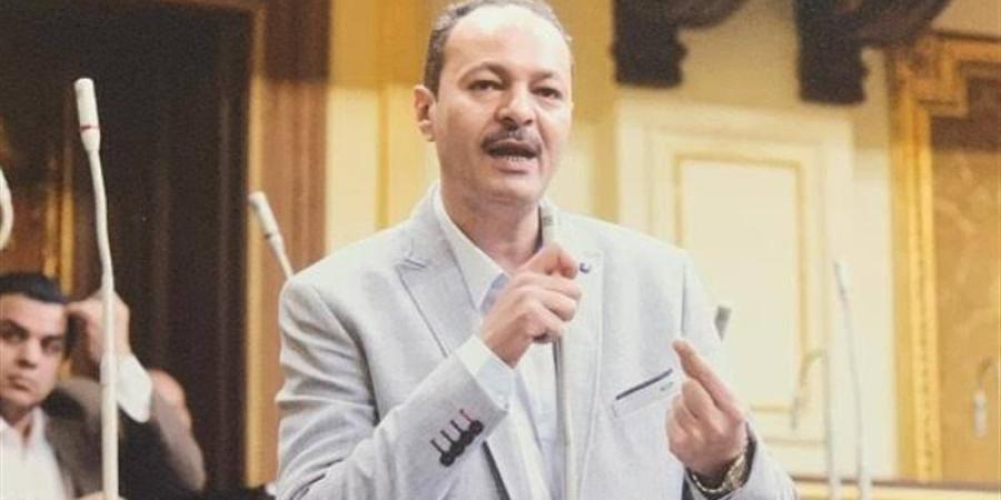 بعد واقعة أستاذ جامعة القاهرة، تحرك برلماني بشأن ضعف تمويل البحث العلمي - المدينة برس