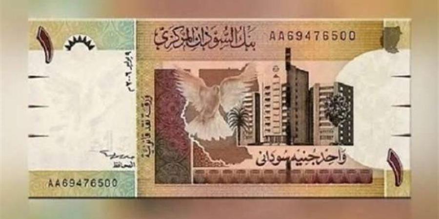 سعر الدولار مقابل الجنيه في بنك السودان المركزي اليوم الأحد - المدينة برس