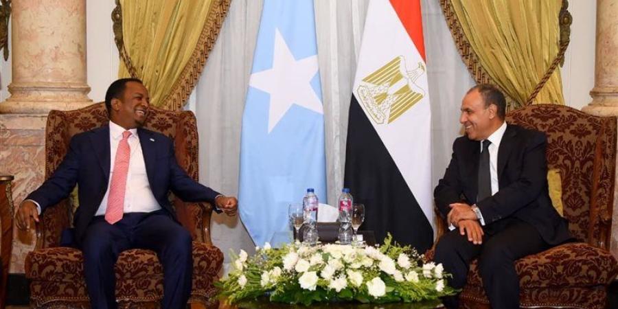 وزير الخارجية يطالب نظيره الصومالي بمواصلة الجهود للإفراج عن البحارة المصريين المختطفين (صور) - المدينة برس