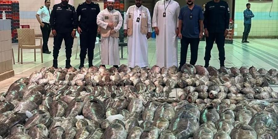 ضبط أكثر من 3 أطنان من الأسماك غير الصالحة للاستهلاك في سوق السمك - بوابة المدينة برس