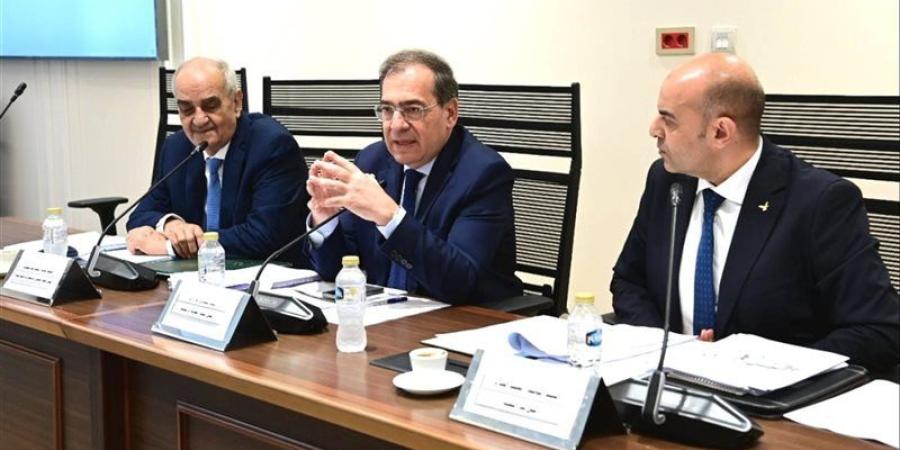 بحضور الحكومة، طاقة النواب توافق على 4 قوانين للبحث عن البترول والغاز - المدينة برس