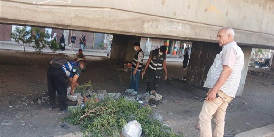 "مكاننا مسؤوليتنا" مبادرة للنظافة والتوعية البيئية بقوص (صور) - المدينة برس
