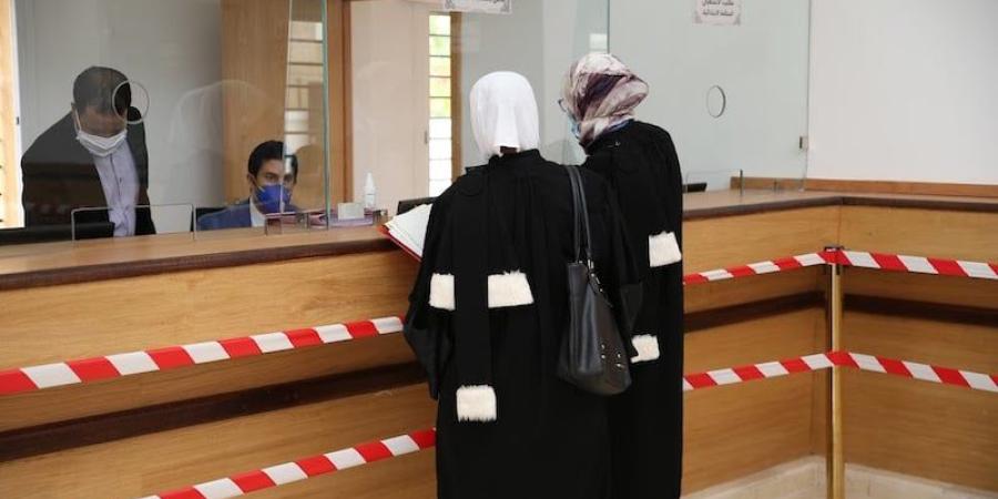 هل ينقذ القاضي الدستوري "قانون مهنة المحاماة" باللجوء إلى التفسير؟ - بوابة المدينة برس
