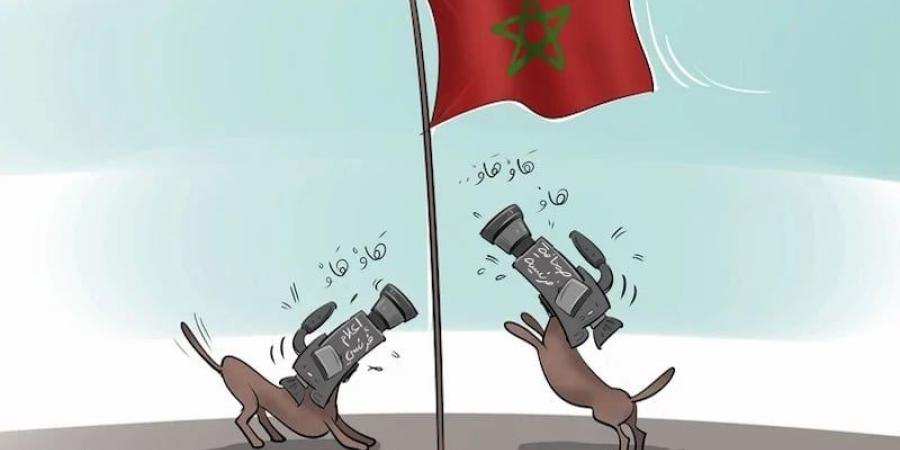 محاولات تشويه المغرب .. لماذا تتكرر الحملات عند الاحتفاء بالإنجازات؟ - بوابة المدينة برس