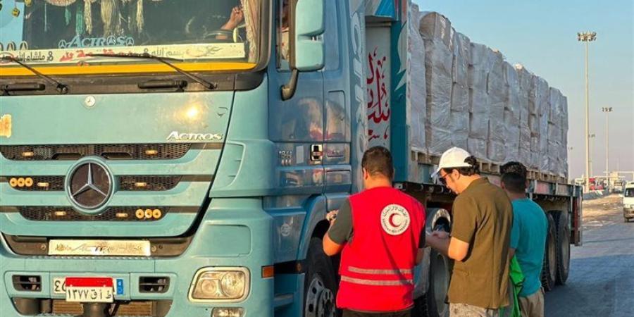 «زاد العزة 238» تنطلق إلى غزة، مصر تواصل إرسال المساعدات الإنسانية للأشقاء الفلسطينيين - المدينة برس