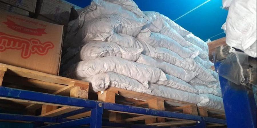 التحفظ على 2.5 طن فراولة مجهولة المصدر داخل ثلاجة غير مرخصة بطوخ - المدينة برس