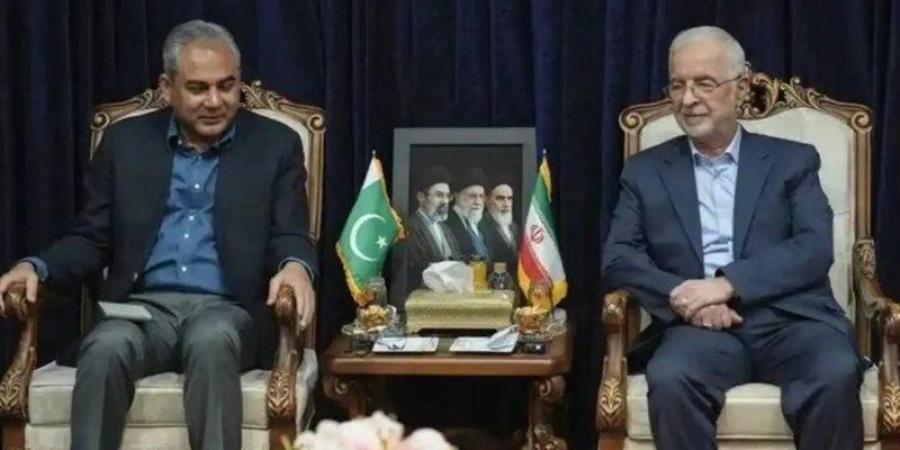 وزير الداخلية الإيراني يصل إسلام آباد - المدينة برس