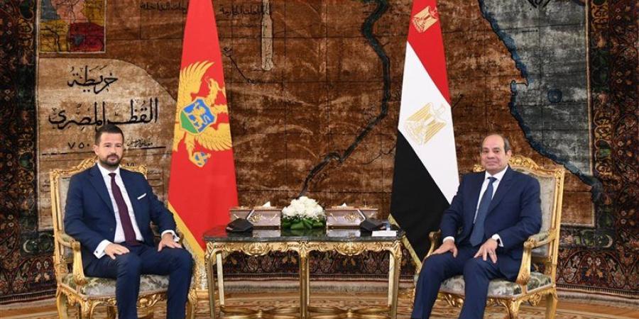 السيسي يبحث مع رئيس الجبل الأسود تعزيز التعاون الاقتصادي وأزمات الشرق الأوسط (فيديو) - المدينة برس