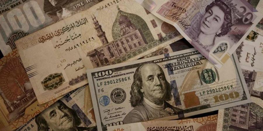 أسعار العملات الأجنبية والعربية أمام الجنيه في البنك التجاري الدولي - المدينة برس