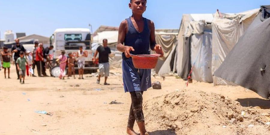 الحروب تهدد إنجازات محاربة الجوع - بوابة المدينة برس