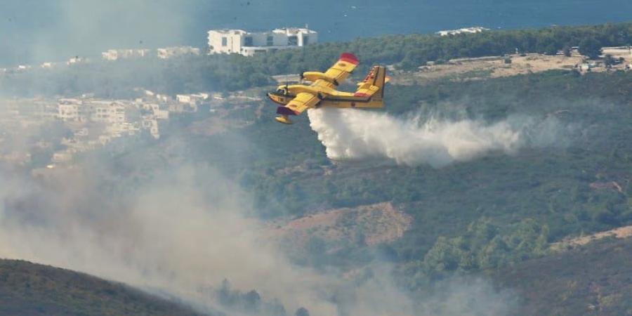 معطيات تسجل ارتفاع حرائق الغابات وتراجع المساحات المتضررة بالمغرب - بوابة المدينة برس