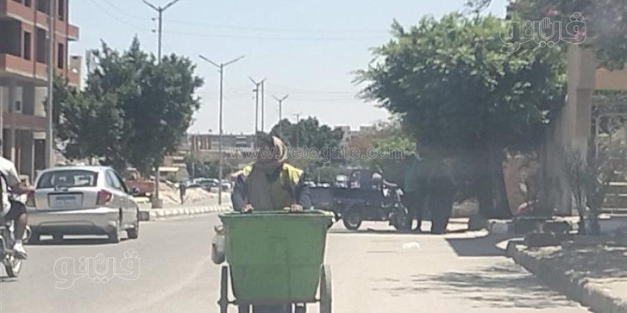 لقمة العيش الحلال، عمال النظافة بالإسماعيلية يعملون تحت درجة حرارة تتجاوز الـ40 (صور) - المدينة برس