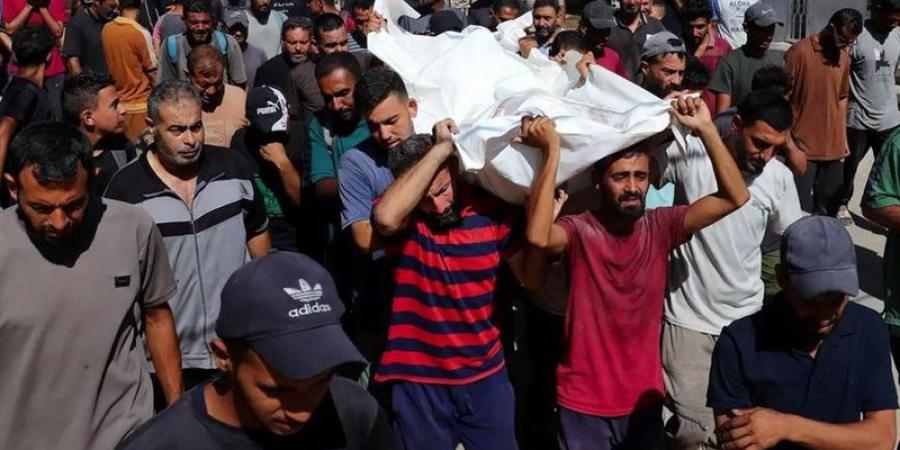 استشهاد 12 فلسطينيا بنيران قوات الاحتلال منذ فجر اليوم في قطاع غزة - المدينة برس