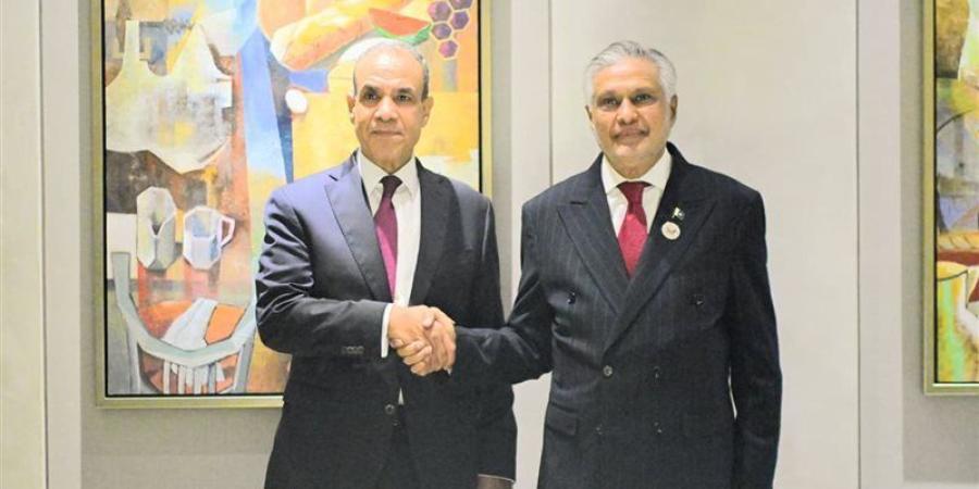 وزير الخارجية يبحث مع نظيره الباكستاني أهمية تعزيز التعاون الاقتصادي بين البلدين - المدينة برس