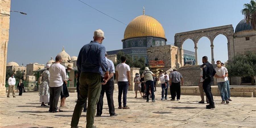 الأوقاف الفلسطينية تحذر من خطورة الدعوات الإسرائيلية لاقتحام الأقصى غدا - المدينة برس