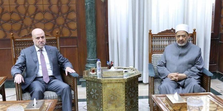 قاضي قضاة فلسطين خلال لقائه شيخ الأزهر: الموقف المصري أفشل مخططات تهجير أهالي غزة - المدينة برس