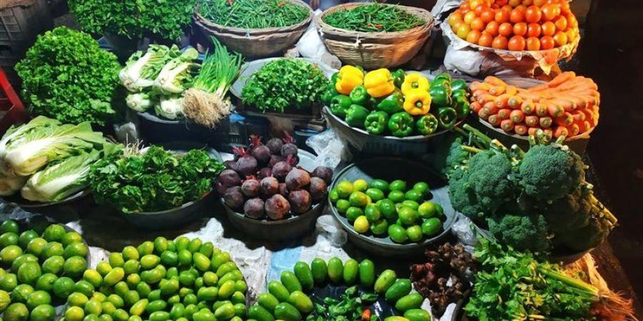 سعر الخضار اليوم، ارتفاع الليمون 20 جنيهًا وانخفاض 8 أصناف منها الخيار والباذنجان - المدينة برس