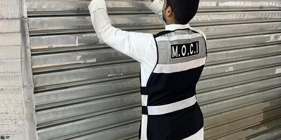«التجارة» تحرر 227 محضر ضبط وتغلق 8 منشآت مخالفة في جليب الشيوخ - بوابة المدينة برس
