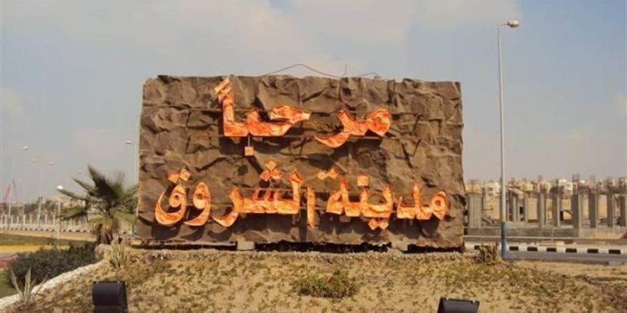 تقنين دفعة جديدة من أراضي المواطنين بتوسعات الشروق، 23 نوفمبر (صور) - المدينة برس