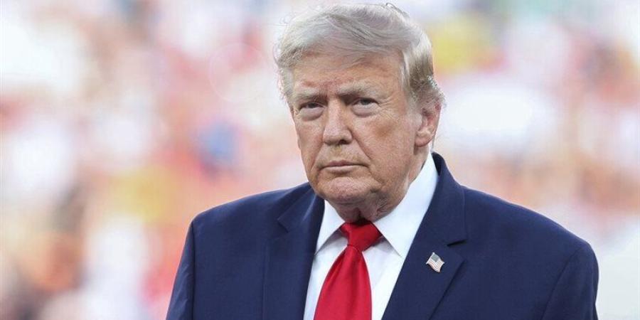 ترامب يتوعد إيران: استهداف السفن بمضيق هرمز سيواجه بضرب محطات الكهرباء - المدينة برس