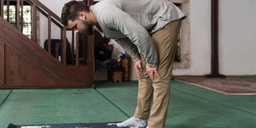 ما فضل صلاة الضحى، وكم عدد ركعاتها ووقتها وماذا يقرأ فيها؟ - المدينة برس