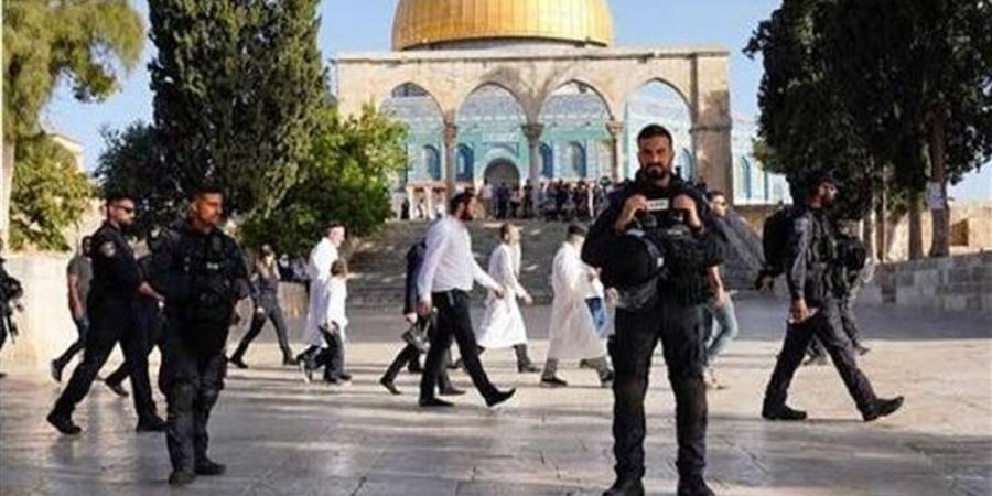 الأوقاف الإسلامية بالقدس: 2300 مستوطن يقتحمون المسجد الأقصى منذ الصباح - المدينة برس