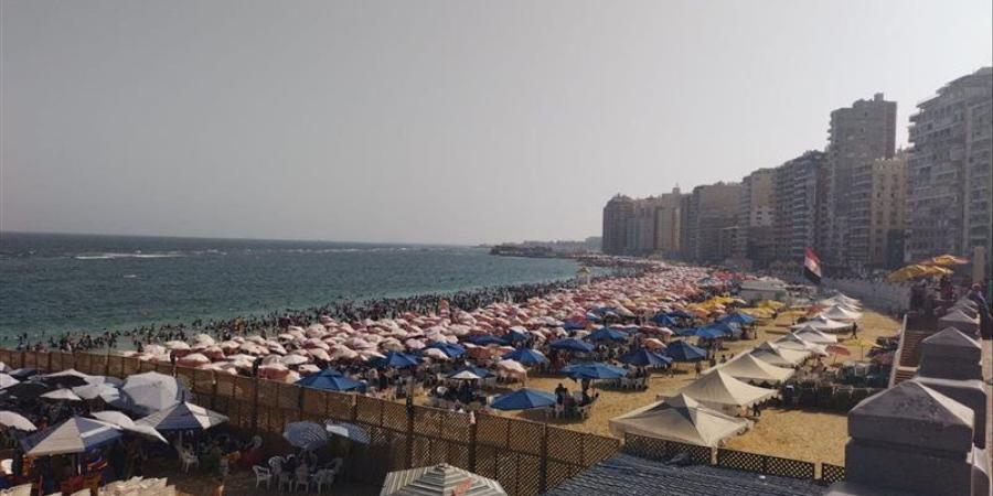 رفع الرايات الخضراء والصفراء، شواطئ الإسكندرية كاملة العدد - المدينة برس