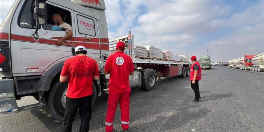 «زاد العزة 241»، مصر تواصل دعم الأشقاء الفلسطينيين بقافلة مساعدات جديدة لغزة - المدينة برس
