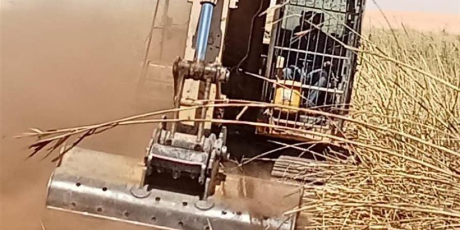 استجابة لشكوى المزارعين، رفع تجمعات مياه الصرف بباريس - المدينة برس