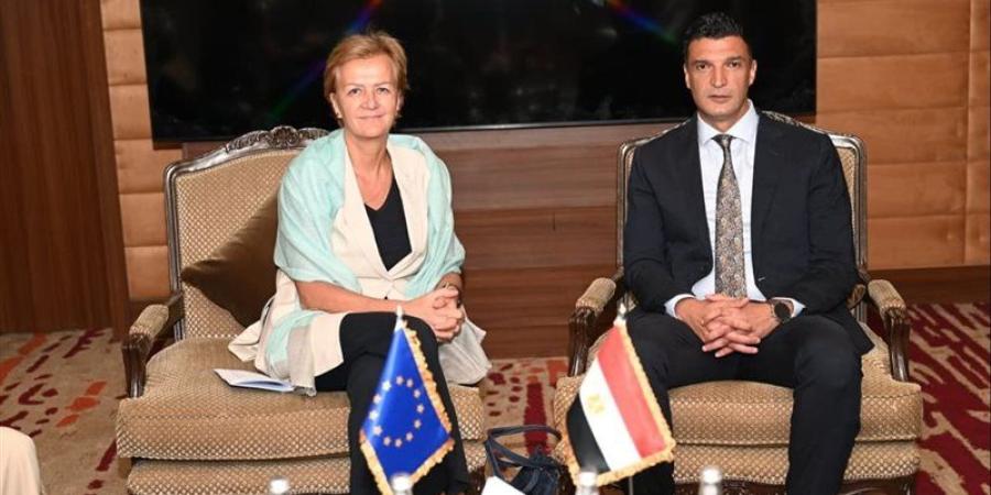 مصر تدعو الشركات الأوروبية لضخ استثمارات جديدة في صناعة السيارات والاستفادة من الحوافز - المدينة برس