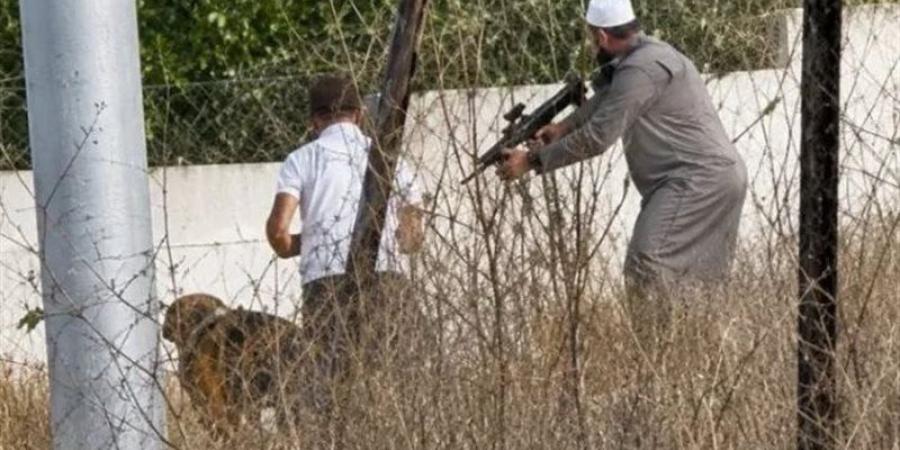 فاروق رمضان، قصة بطل أسطوري أعزل في أرض فلسطين (فيديو) - المدينة برس