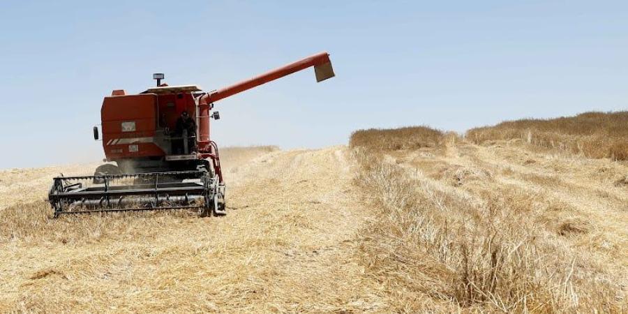 الموسم الفلاحي يقترب من النهاية .. التسويق والأسعار يسائلان الوفرة - بوابة المدينة برس