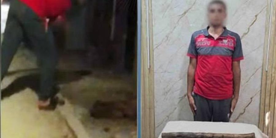 فيديو أثار الغضب، الداخلية تكشف ملابسات واقعة قتل كلب بـ "الشومة" في الغربية - المدينة برس