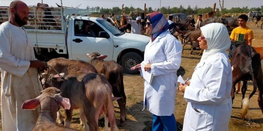 الزراعة: 21 ألف زيارة ميدانية لرصد الأمراض الوبائية وحماية الثروة الحيوانية - المدينة برس