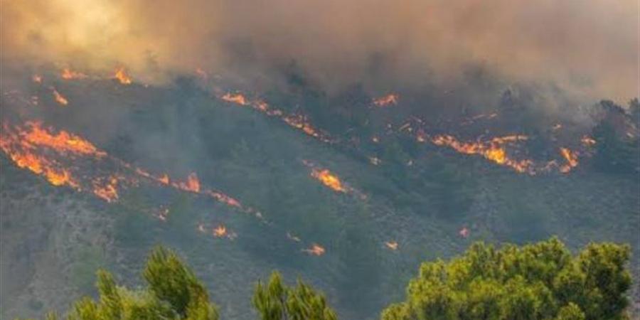 بعد اندلاعها في تونس والجزائر، أدعية نبوية مأثورة للتحصين من النار والحرائق - المدينة برس