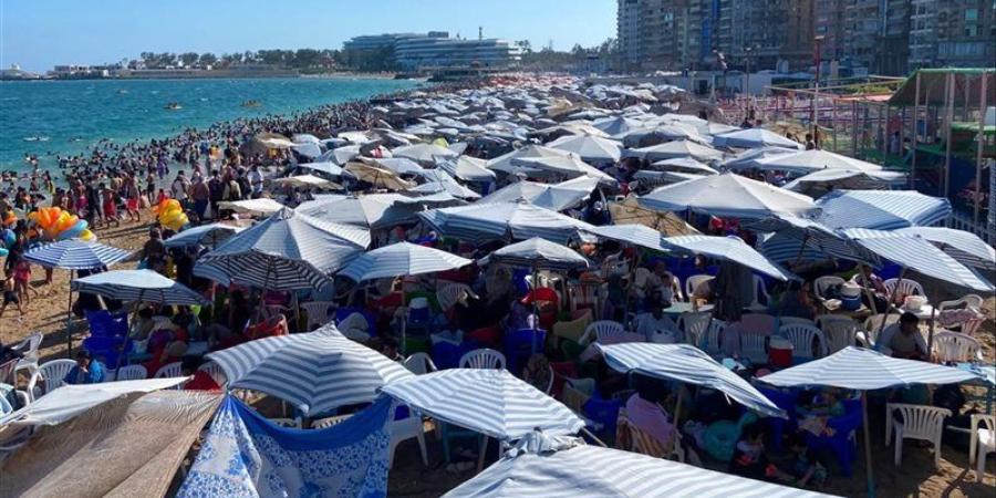 زحام على شواطئ الاسكندرية ورفع الرايات الحمراء والصفراء بسبب ارتفاع الموج - المدينة برس