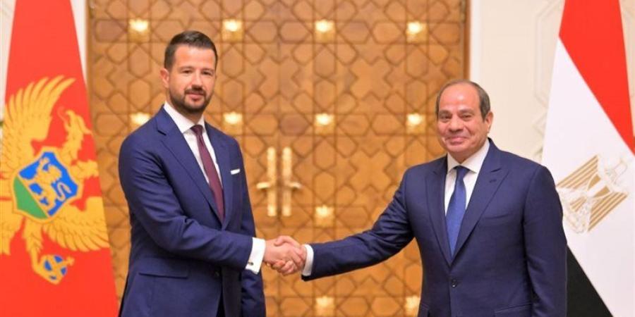الرئاسة في أسبوع.. السيسي يؤكد لرئيسة تنزانيا أهمية تعزيز العلاقات الثنائية.. يبحث مع رئيس الجبل الأسود تطوير التعاون الاقتصادي.. ويؤكد لـ ميلوني ضرورة تكثيف الاستثمارات الإيطالية بالسوق المصري - المدينة برس