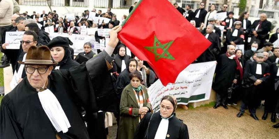 باحثة: "منع ترشح النقباء" دستوري - بوابة المدينة برس