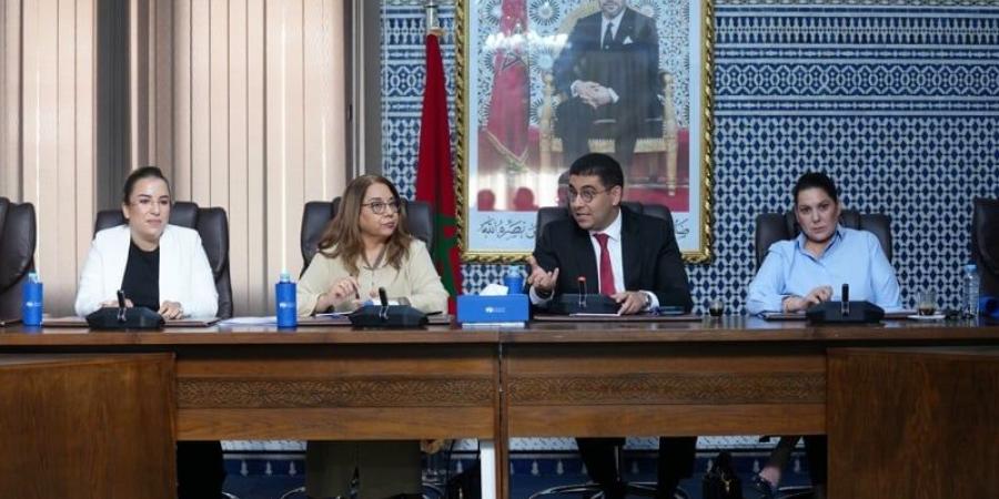 لقجع ينعش آمال الأمازيغيين في "البام" - بوابة المدينة برس