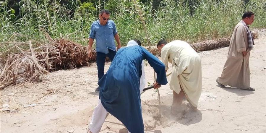 محافظ أسيوط يشدد على تنفيذ أعمال التشجير بمداخل القرى والطرق الرئيسية - المدينة برس