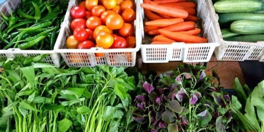 سعر الخضار اليوم، الطماطم تبدأ من 6 جنيهات وارتفاع 6 أصناف منها الخيار البلدي - المدينة برس