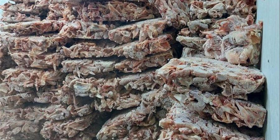 ضبط 42 طن لحوم ودواجن فاسدة ومشروبات طاقة مجهولة المصدر بالجيزة - المدينة برس