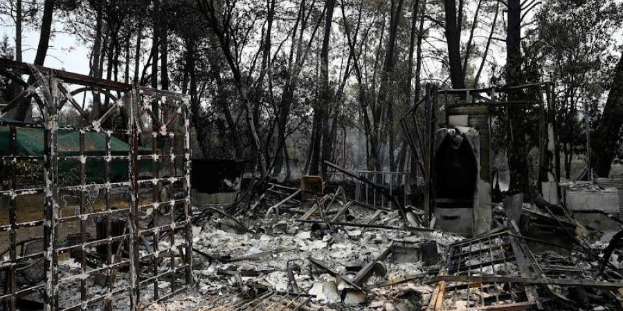 سانشيز: حالة طوارئ مناخية بإسبانيا - بوابة المدينة برس