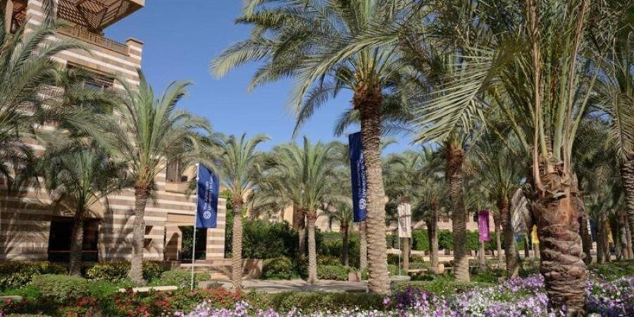 الجامعة الأمريكية تطلق “مساري”، برنامج جديد لدعم الطلاب ذوي الاختلافات النمائية العصبية - المدينة برس