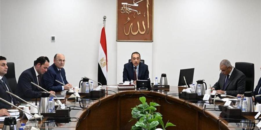 رئيس الوزراء يستعرض الرؤية المقترحة لتطوير زراعة وصناعة الكتان في مصر - المدينة برس