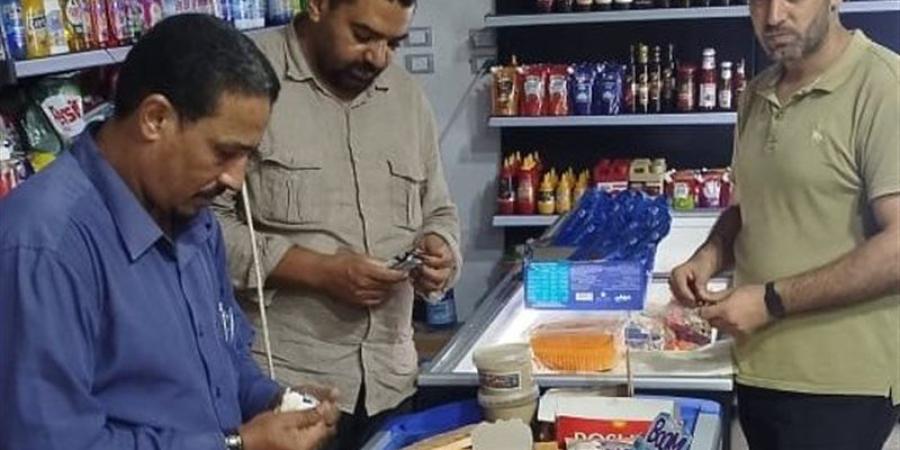 قرارات بالغلق لـ 29 منشأة غذائية وتحرير 131 محضرا لمخالفات بالإسماعيلية - المدينة برس