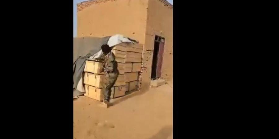 صراخ أقارب مليشيا الدعم السريع يكشف هزيمتهم، وجيش السودان يضبط أسلحتهم ويسيطر على كردفان (فيديو) - المدينة برس