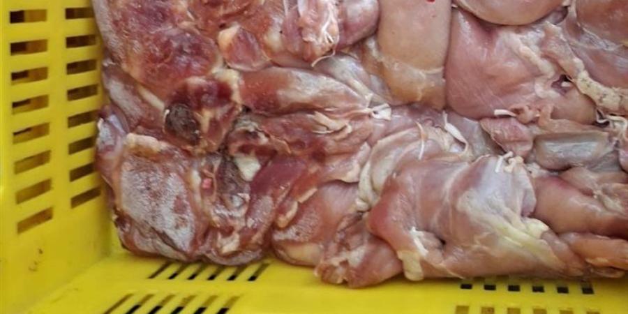 ضبط لحوم ودواجن فاسدة في حملة تموينية مكبرة بالفيوم - المدينة برس